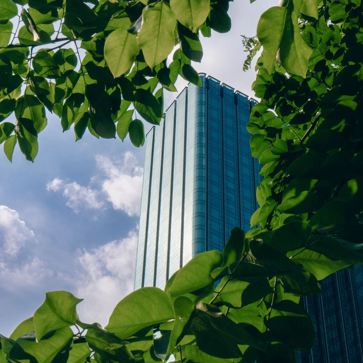 The "12345" Sustainability Governance System